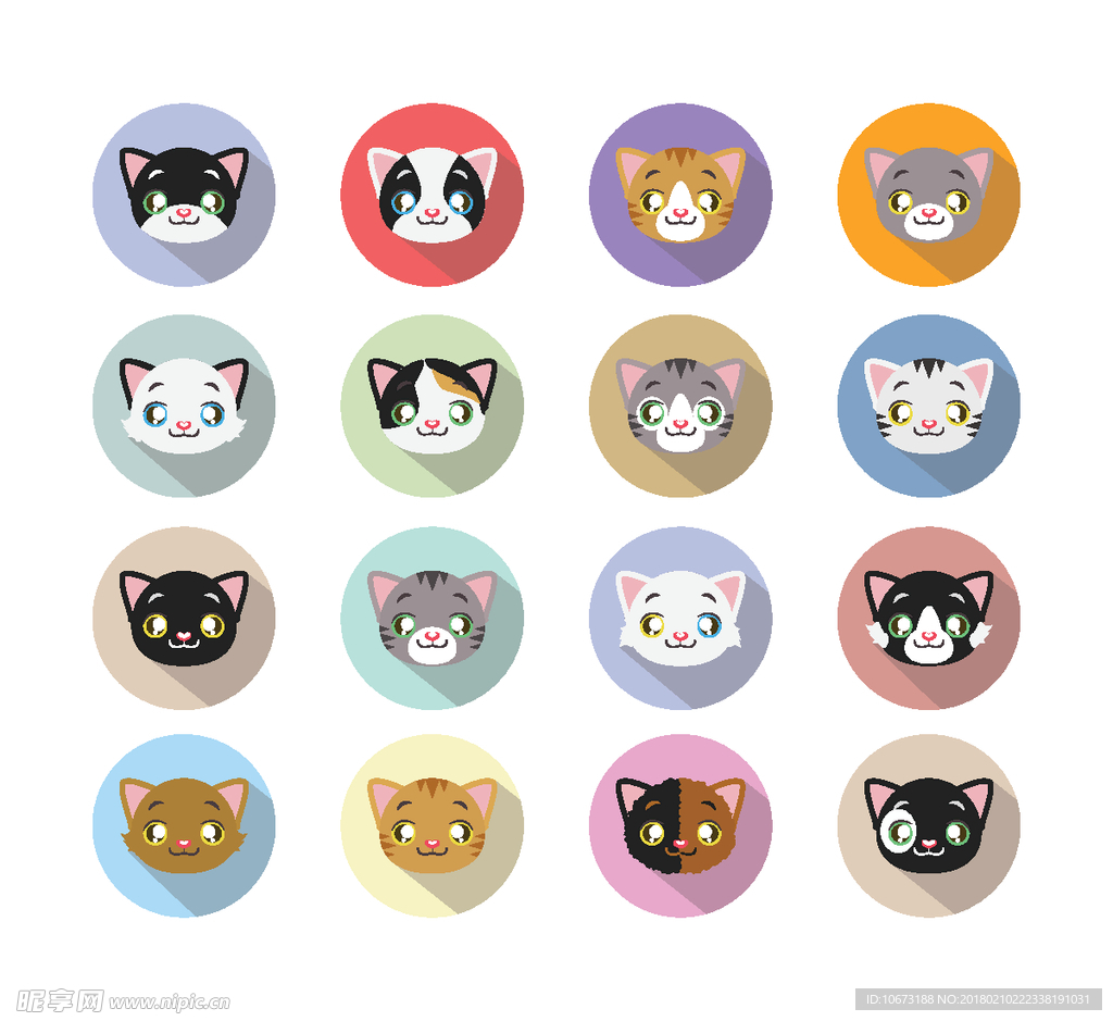猫