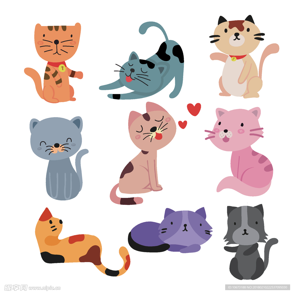 猫