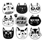 猫