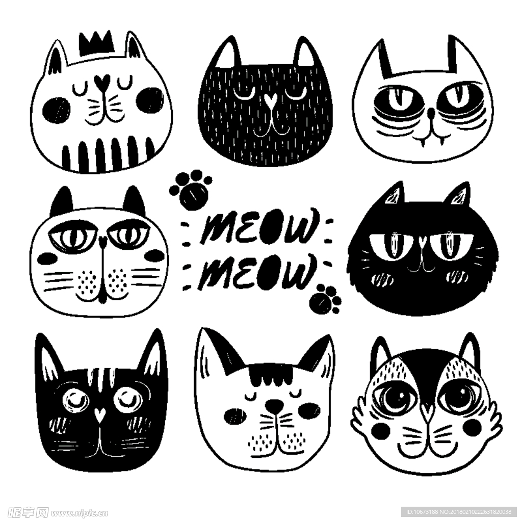 猫