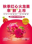 火龙果