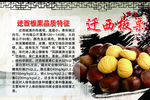 迁西板栗