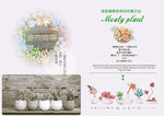 绿植 多肉植物