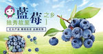 蓝莓海报