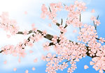 日式樱花桃花矢量素材