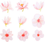 唯美小清新粉色水彩桃花樱花
