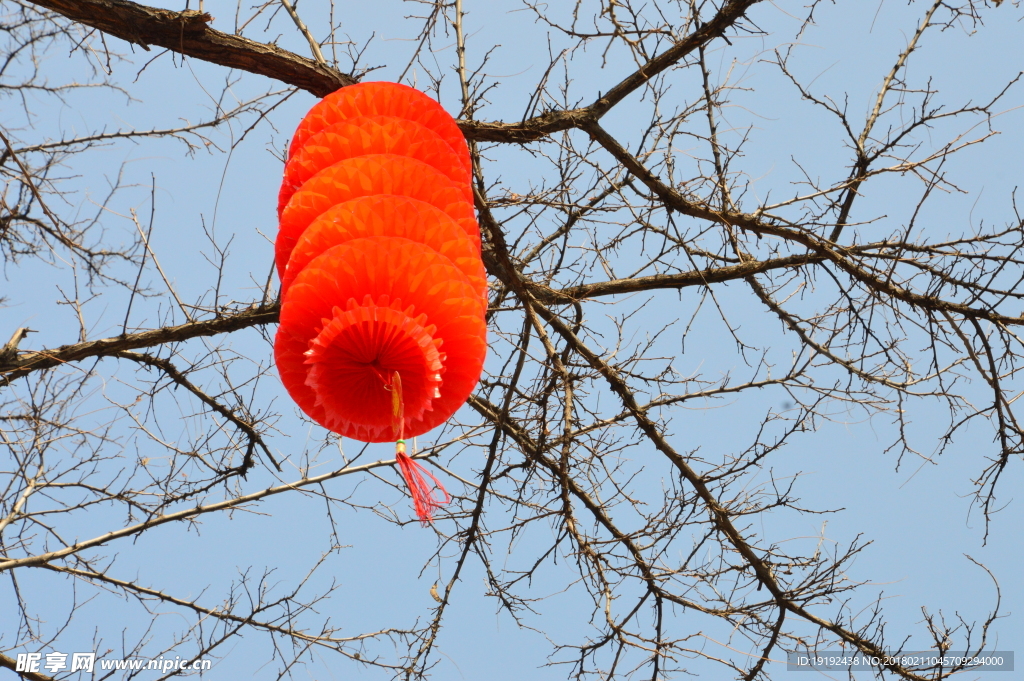 红灯笼