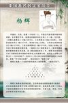 数学家简介海报