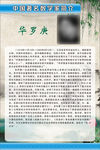 中国数学家海报