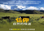 黑毛和牛