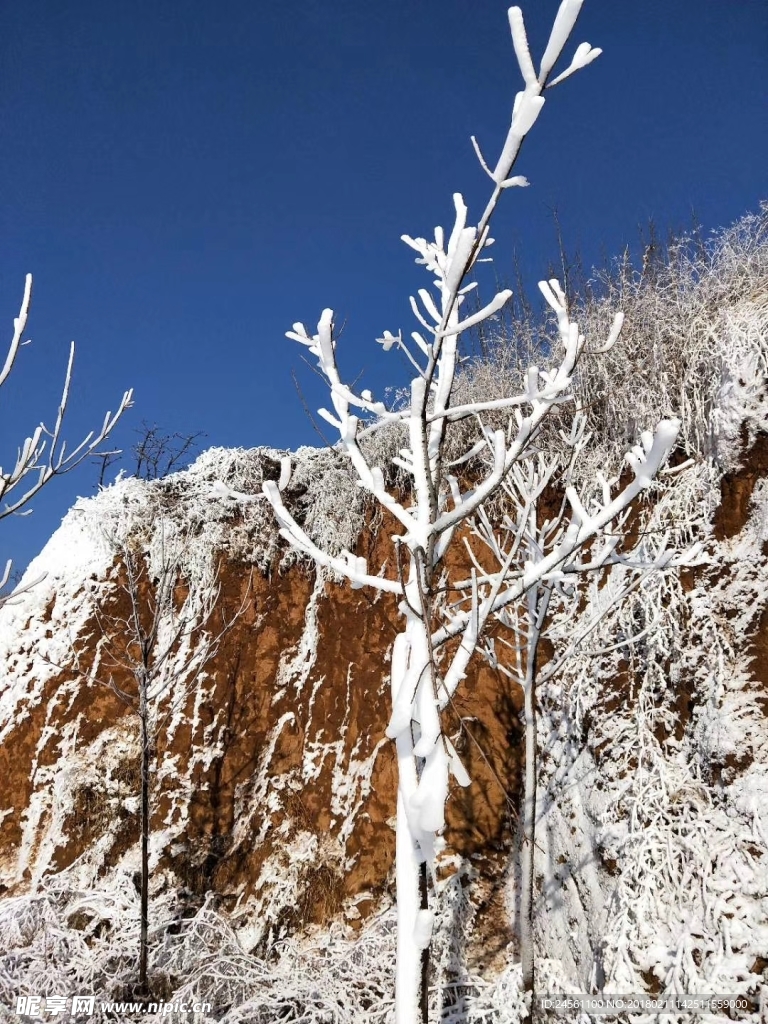 雪景