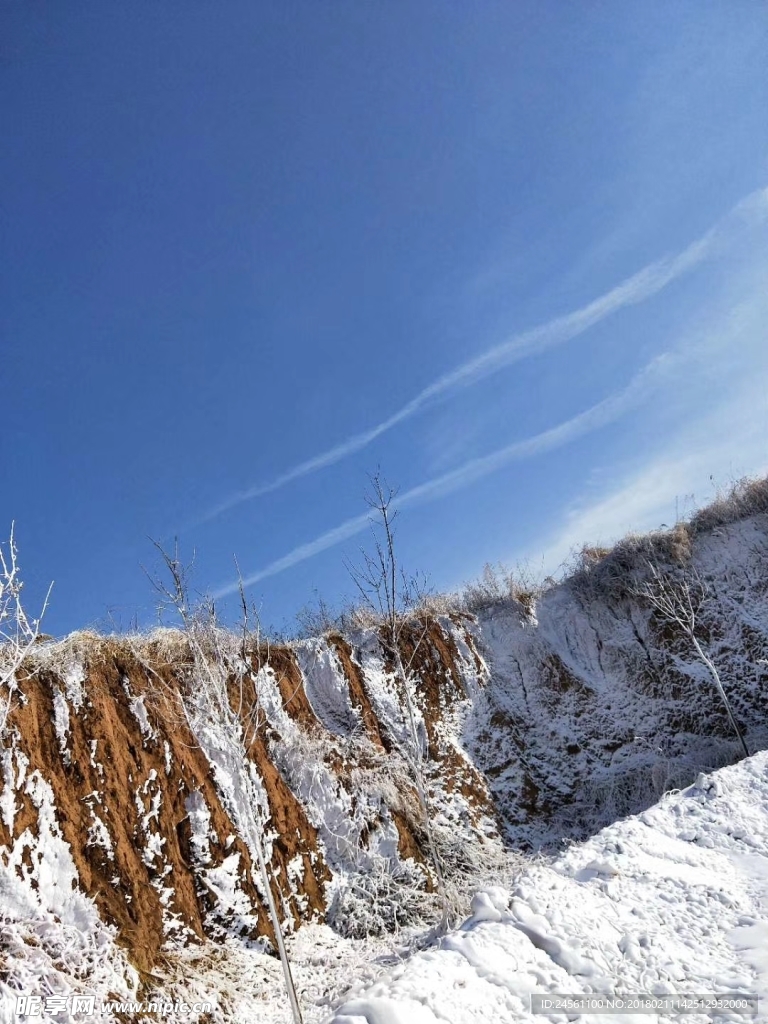 雪景