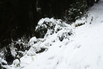 雪山徒步