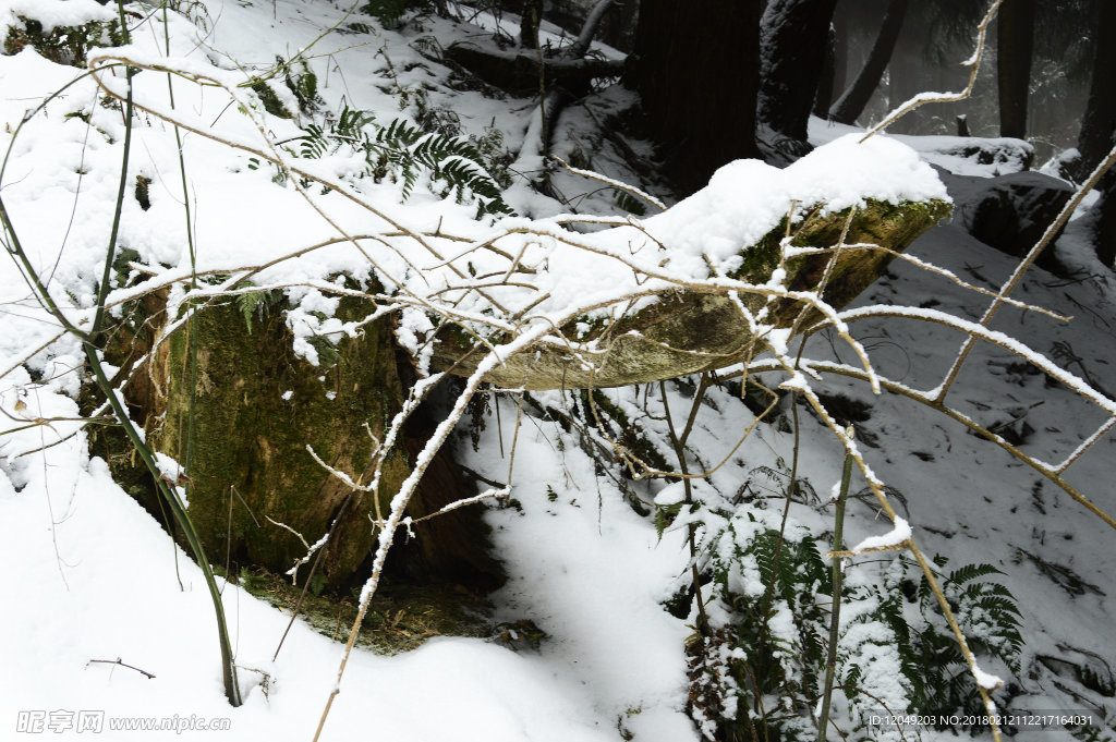 雪山徒步