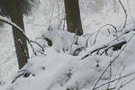 雪山徒步