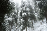 雪山徒步