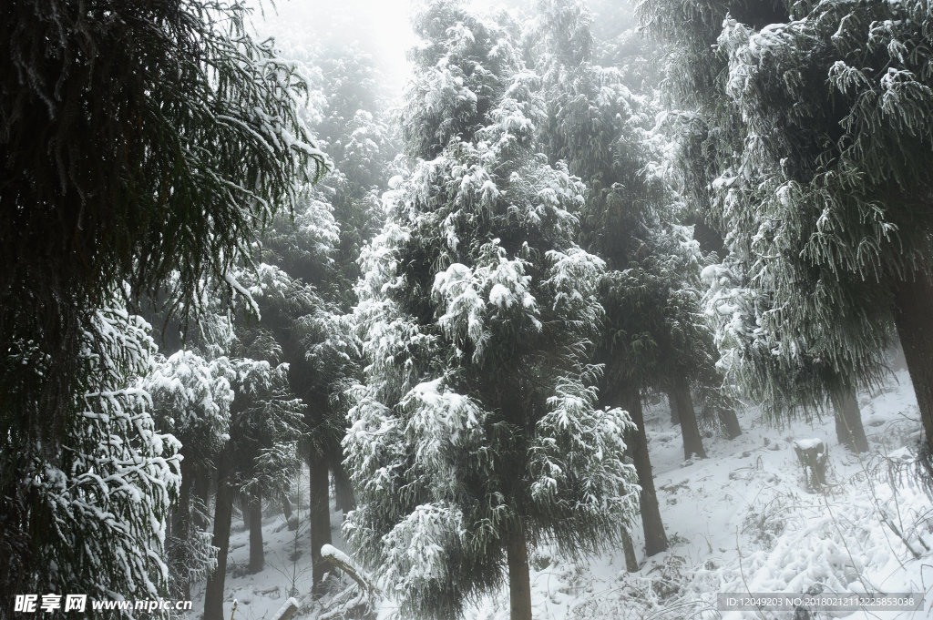 雪山徒步
