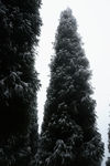 雪山徒步