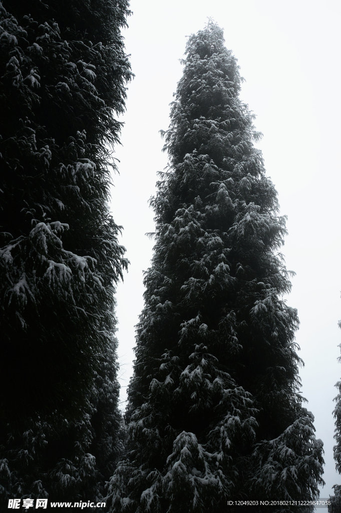 雪山徒步