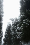 雪山徒步