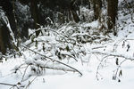 雪山徒步