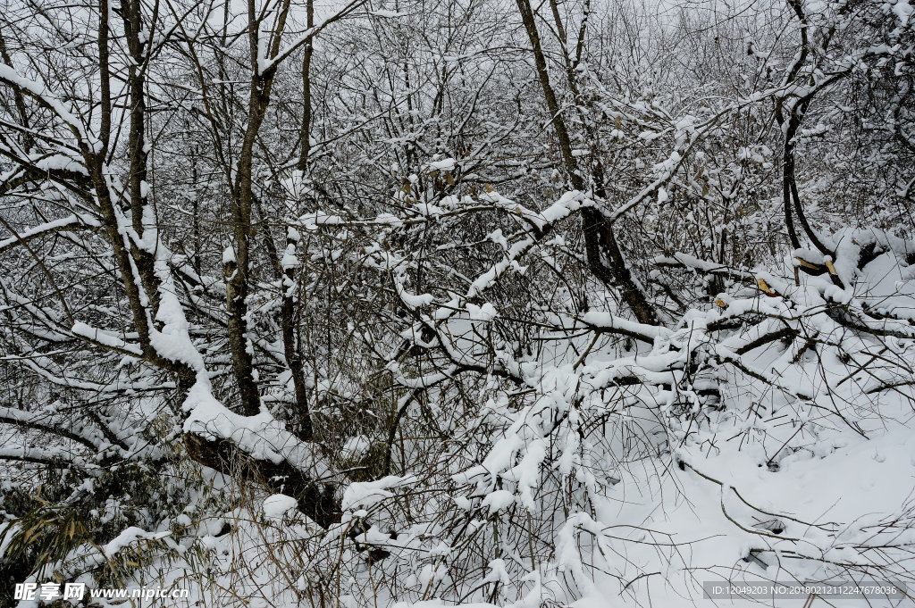 雪山徒步