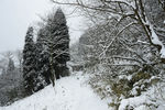 雪山徒步