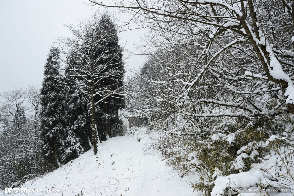 雪山徒步