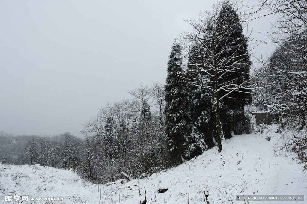 雪山徒步