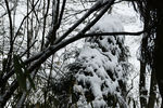 雪山徒步
