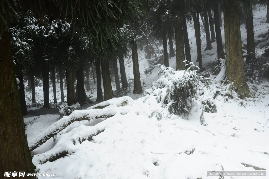 雪山徒步