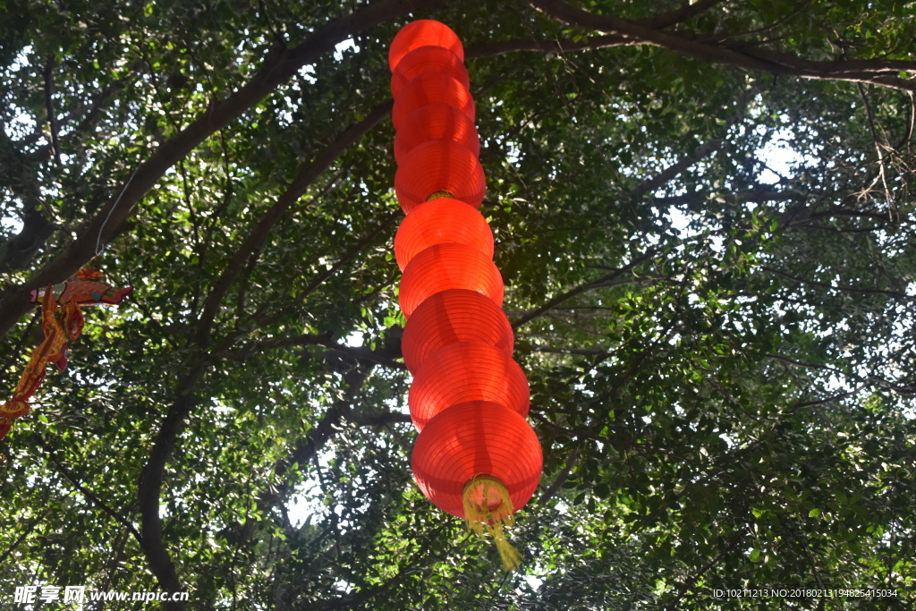 红色大龙高高挂