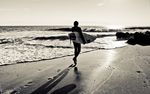 海报冲浪