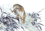 老虎 国画素材