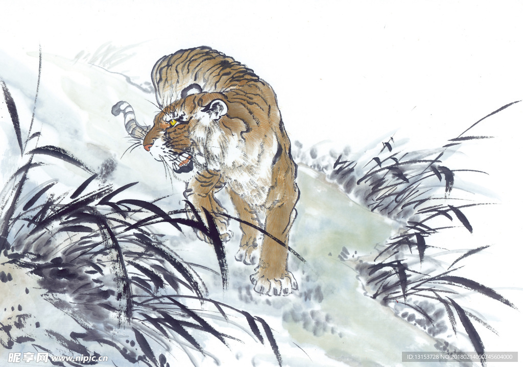 老虎 国画素材