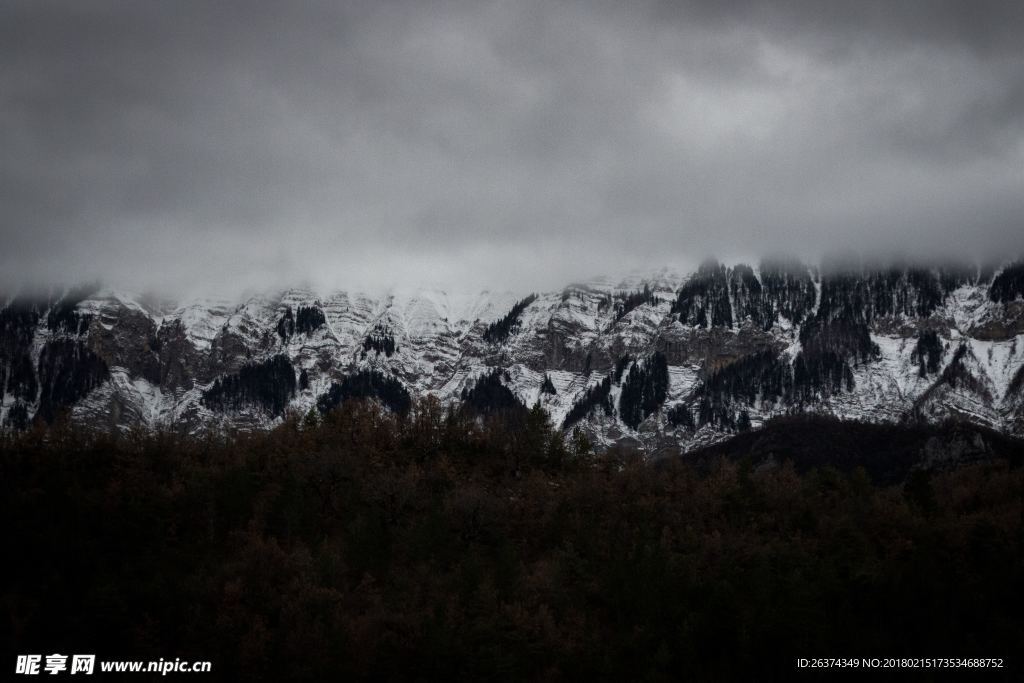 森林雪山