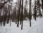 山上雪景