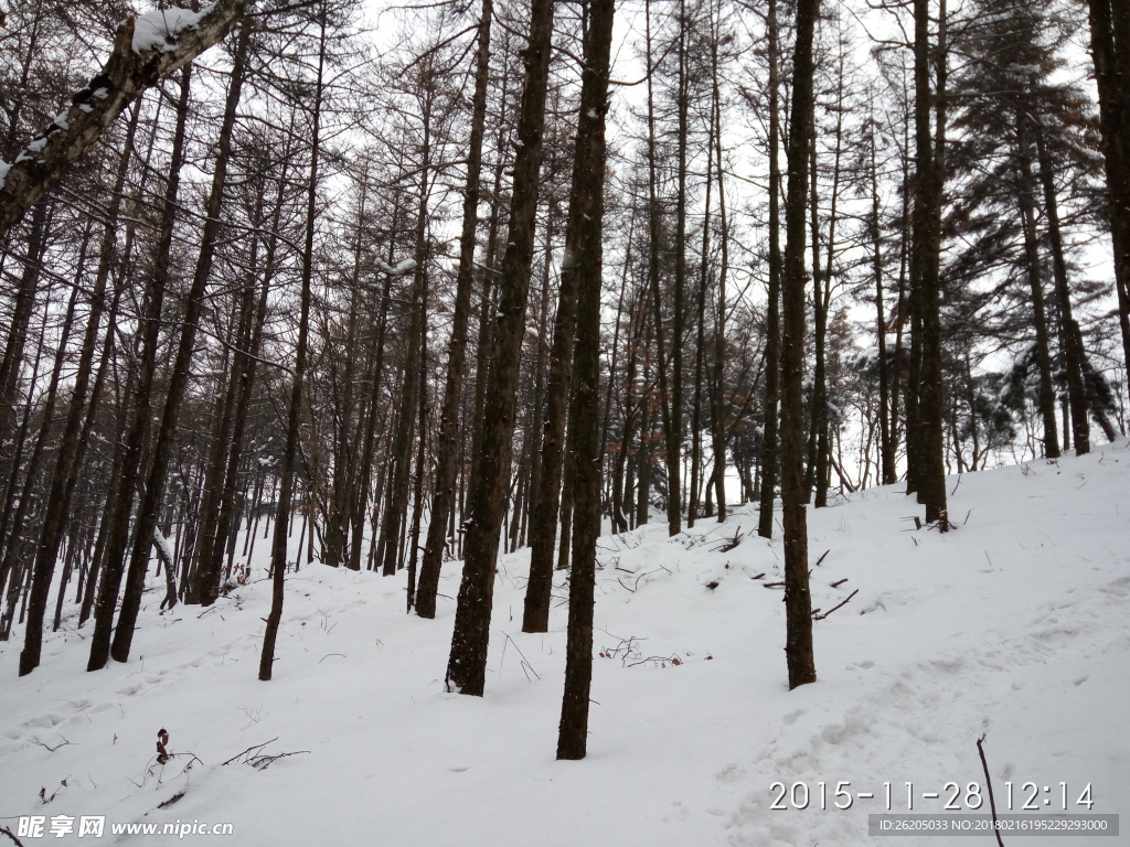 山上雪景