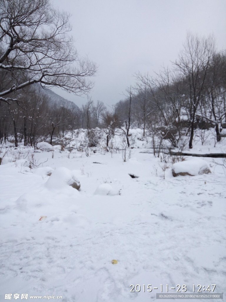 雪景