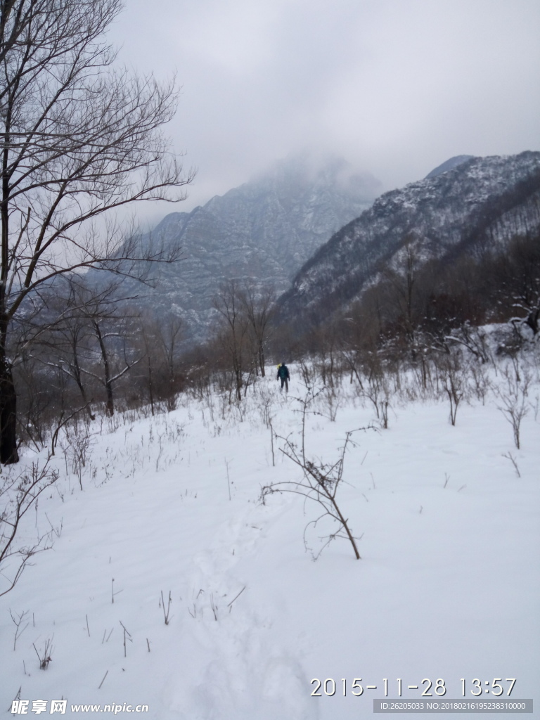 雪景