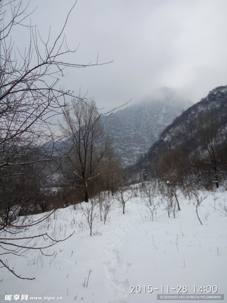 雪景