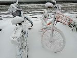 雪车
