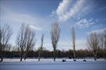 雪景
