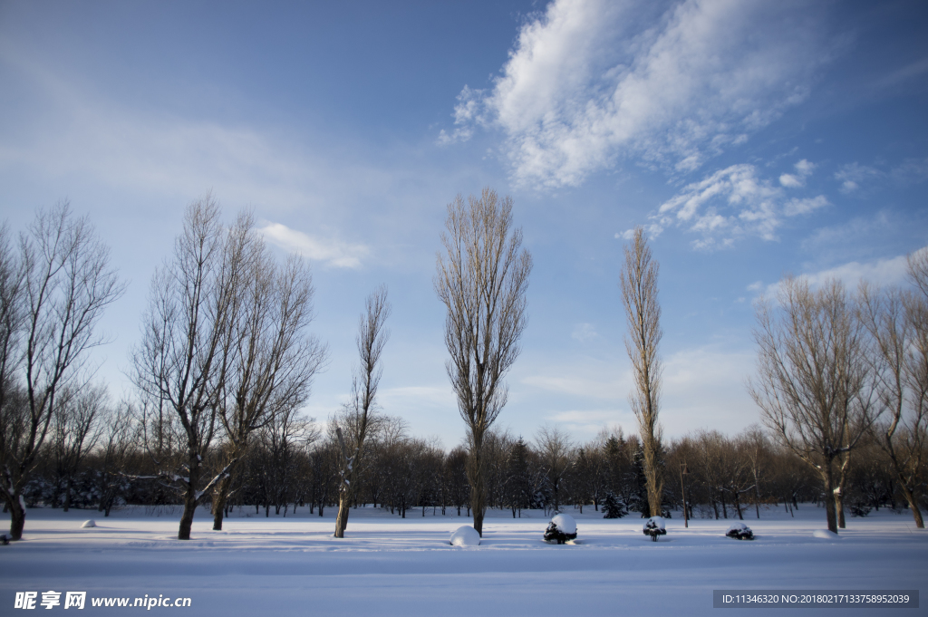 雪景