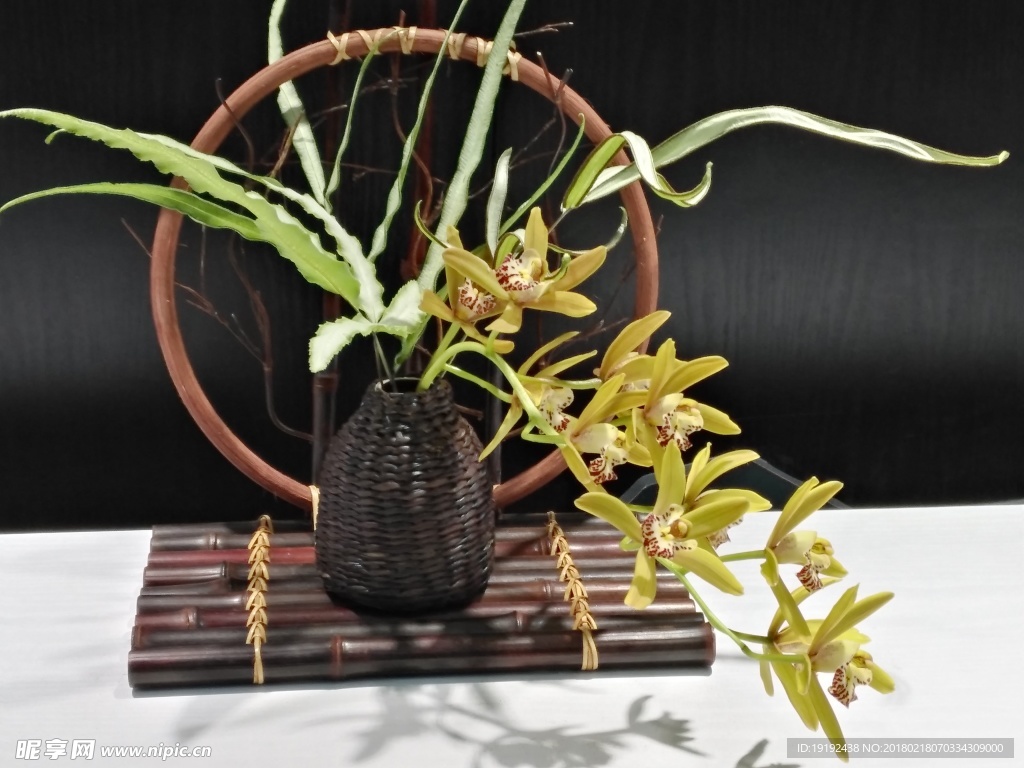 兰花