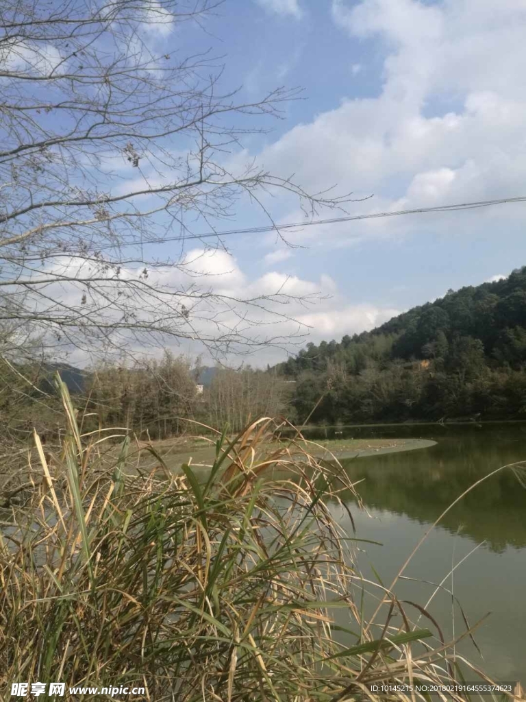 龙井风光