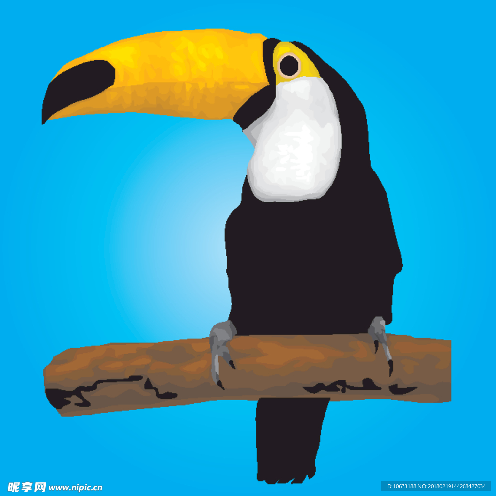 巨嘴鸟