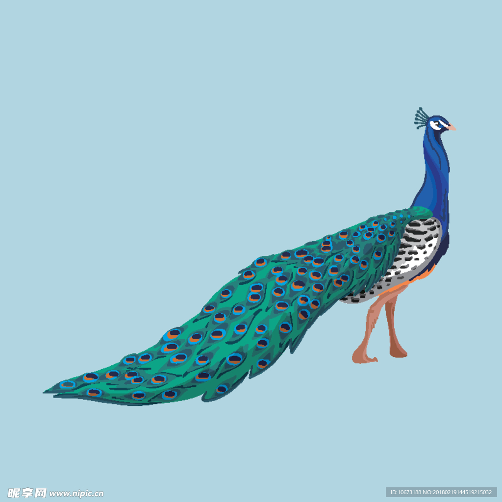 孔雀