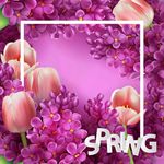花纹