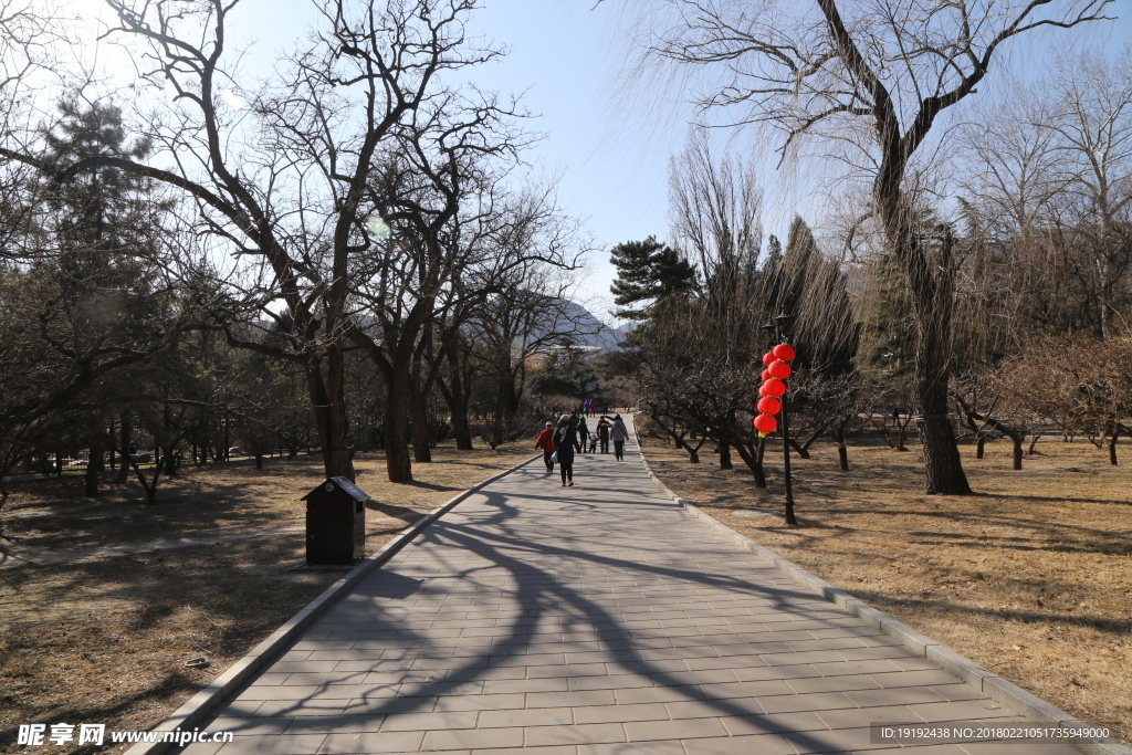 冬日风景